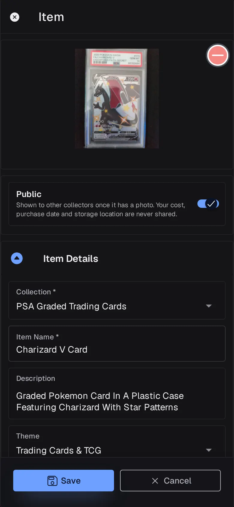 An item's edit sheet showing the photo, the Public switch and Item Details